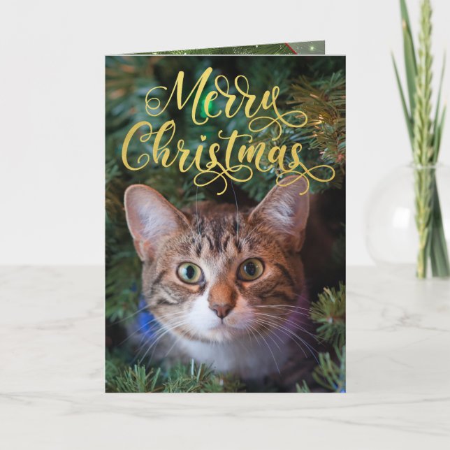 Joyeux Noël Photo Carte à quatre pages (Devant)