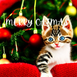 Joyeux Noël Purrffect Carte de Noël