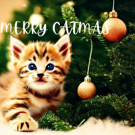 Joyeux Noël Purrffect Carte de Noël