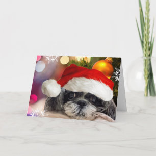 Joyeux Noël Shih Tzu Carte de voeux