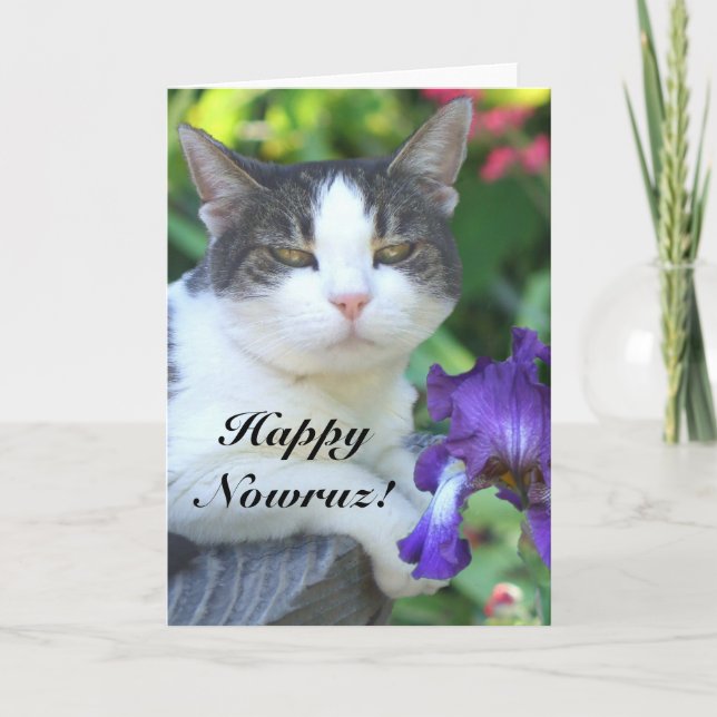 Joyeux Nowruz Cat dans la carte du jardin (Devant)