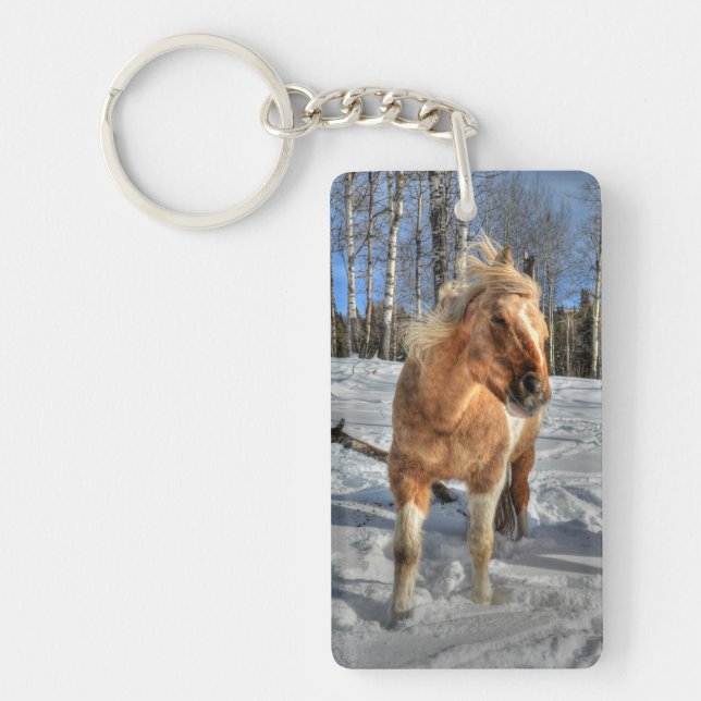 Joyeux Palomino Pinto Horse et neige (Devant)