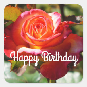 Joyeux Rêve d'anniversaire venez Véritable Sticker
