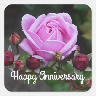 Joyeux Rose du château de l’évêque #1 Stickers