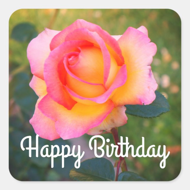 Joyeux Rose Elle Anniversaire #2 Stickers (Devant)