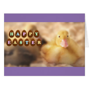 Joyeux salutations de Pâques de mignons canards