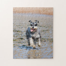 Joyeux Schnauzer S'Écoutant Sur Le Puzzle De La Pl