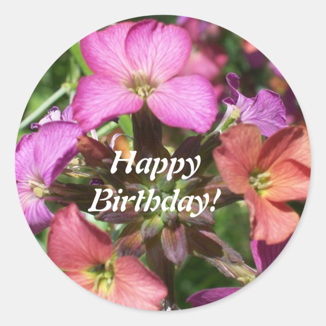 Joyeux Sticker Anniversaire 'Constant Cheer' (Devant)