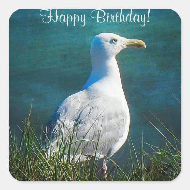 Joyeux Stickers Carré Seagull Anniversaire (Devant)