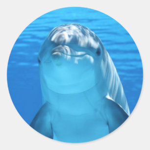 Joyeux Stickers Dolphin Ocean