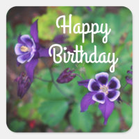 Joyeux Stickers Fleurs de Colombine Violet Anniver