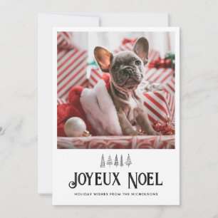 Joyeux Weihnachten Typografie Niedlich Pet Weihnac