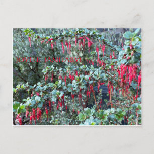 JOYFUL JANUARY! POSTKARTE
