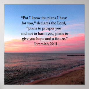 JOYFUL JEREMIAH 29:11 SUNRISE POSTER