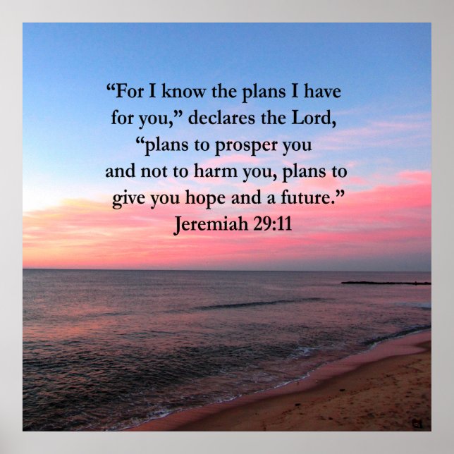JOYFUL JEREMIAH 29:11 SUNRISE POSTER (Vorne)