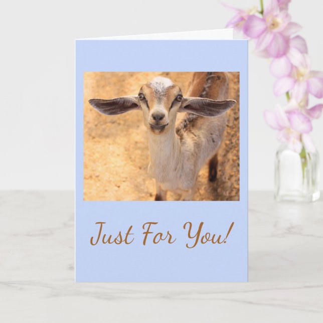 Joyful Little Goat Birthday Karte (Orchidee)