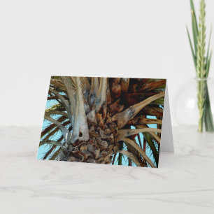 "Joyful Palm" Nah oben, Baumspitze mit blauem Himm Karte