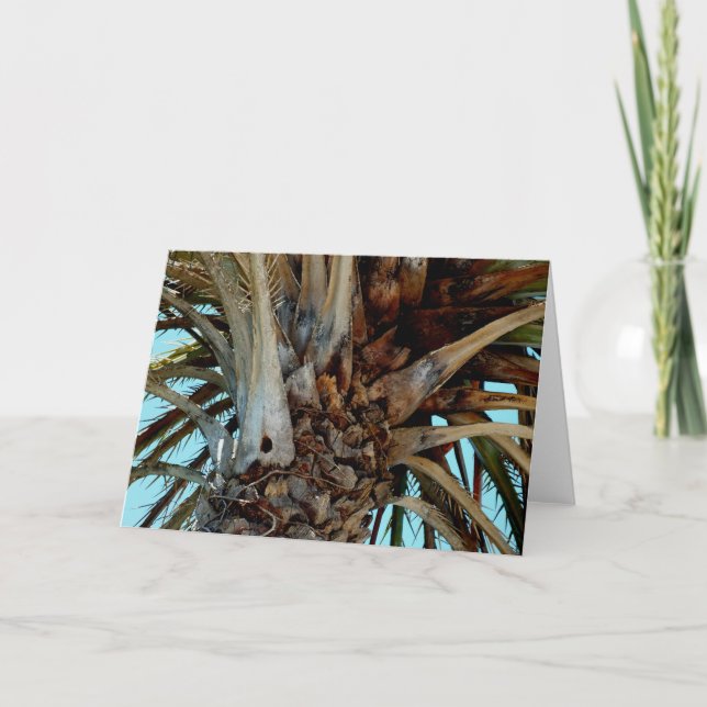 "Joyful Palm" Nah oben, Baumspitze mit blauem Himm Karte (Vorderseite)