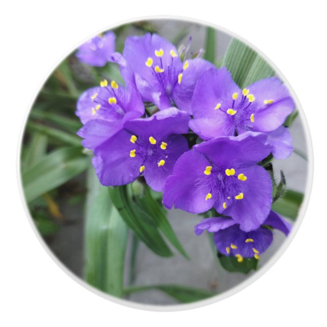 Joyful Purple Flowers Keramikknauf (Vorderseite)