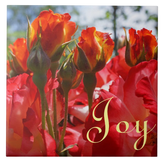 Joyful Tile Rote Rose Blume Holiday Fliese (Vorderseite)