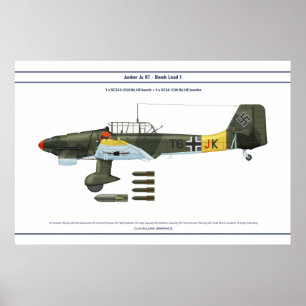 Ju 87 Last 1 Poster