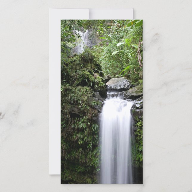 Juan Diego Falls (Vorderseite)