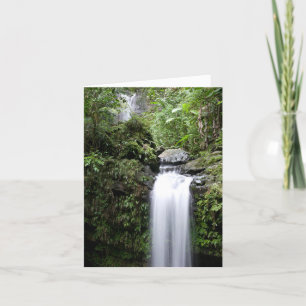 Juan Diego Falls Dankeskarte