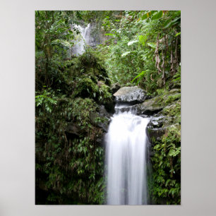 Juan-Diego-Wasserfälle Poster