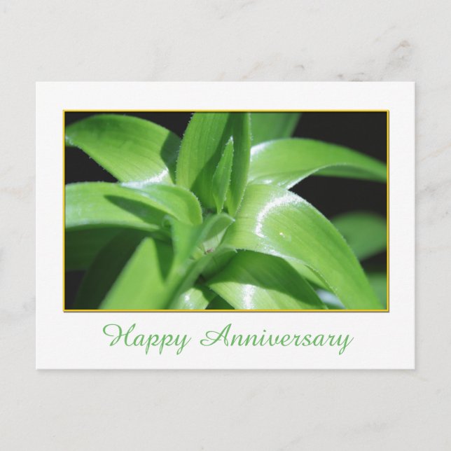 Jubiläum von Fresh Spring Green Lilie verlasse Postkarte (Vorderseite)