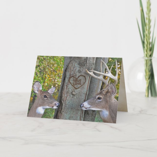 Jubiläumsfeier Buck and Doe Liebe Karte (Vorderseite)