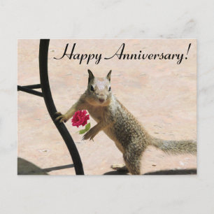 Jubiläumskarte für das Eichhörnchen, das die Rose  Postkarte