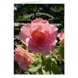 Jubiläumskarte für die strahlend rosa Tee-Rose