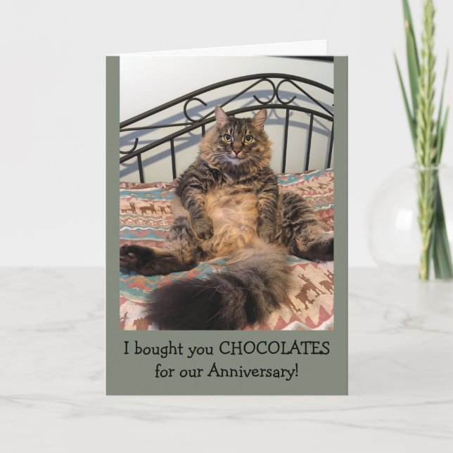 Jubiläumsschokolade Kimber Cat Anniversary Card Karte (Vorderseite)