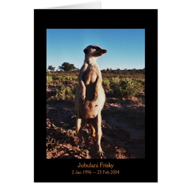 Jubulani vif - carte de légendes (Devant)