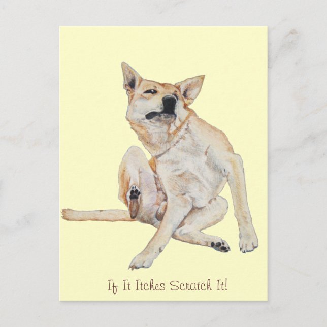 juckender Hund kratzt mit lustigem Slogan Postkarte (Vorderseite)
