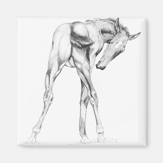 Juckreiz Magnet (Vorne)