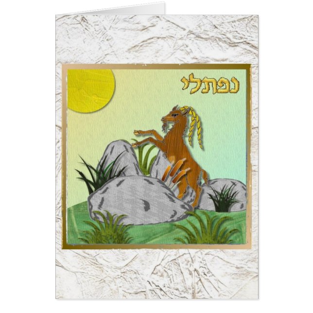 Judaïque 12 tribus Israël Naphtali (Devant)