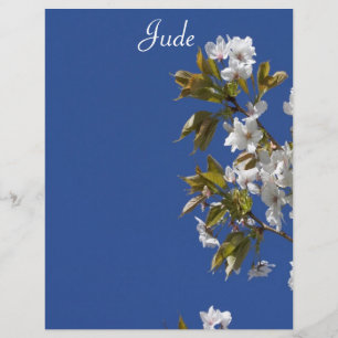 Jude Blossom Letterhead