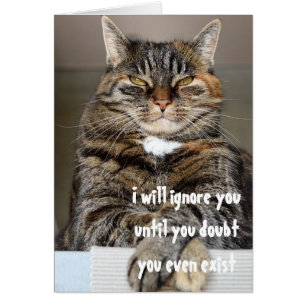 Jugement Angry Cat Doute Vous Existe Humour Drôle