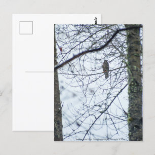 Jugend an der Kante Postkarte
