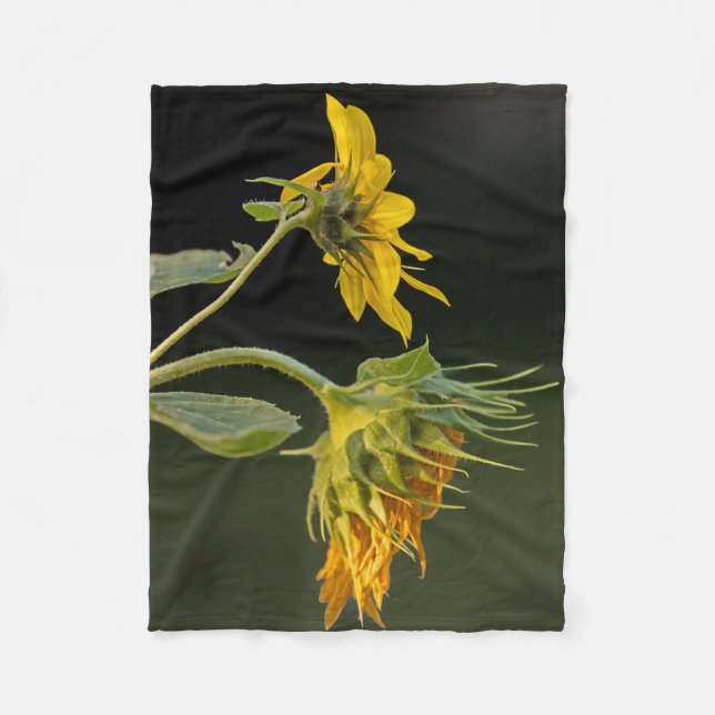 Jugend und Alter Sonnenblumen Fleecedecke (Vorderseite)