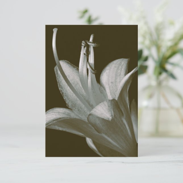 Jugendherberge Fotografie, Elegante Vintage Sepia (Stehend Vorderseite)