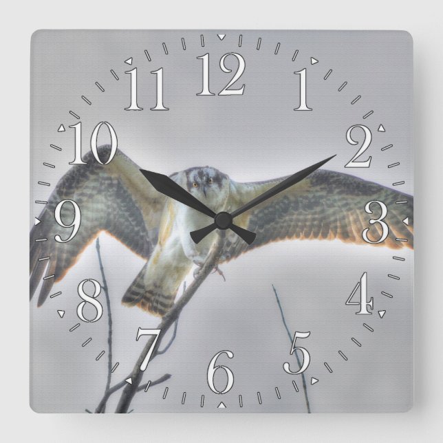 Jugendliche Osprey Fisch-Eagle Tier-Foto-Szene Quadratische Wanduhr (Vorderseite)