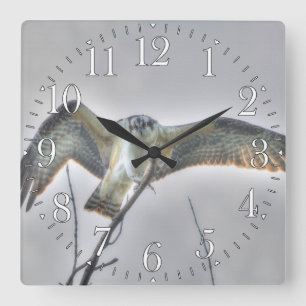 Jugendliche Osprey Fisch-Eagle Tier-Foto-Szene Quadratische Wanduhr