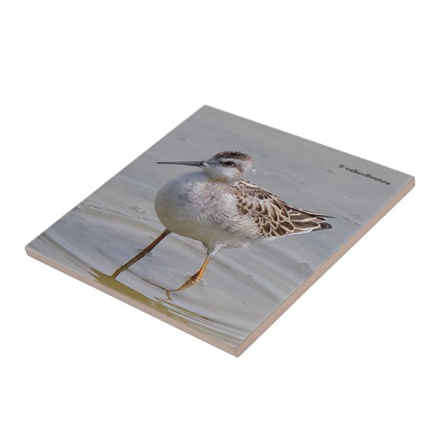 Jugendlicher Wilson-Wassertreter Fliese (Seite)