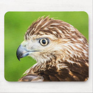 Jugendliches Rot angebundener Falke Mousepad