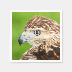 Jugendliches Rot angebundener Falke Serviette