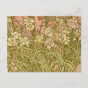 Jugendstil Alfonse Mucha Blütenförmige Nelkenblume Postkarte