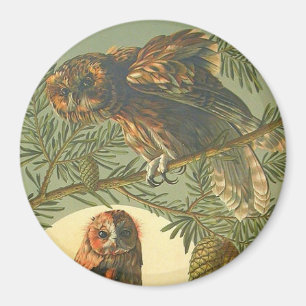 Jugendstil Anton Seder Eule braun grün gelb Magnet