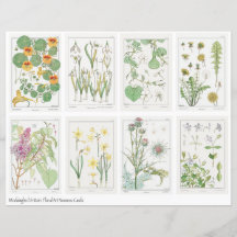 Jugendstil Blumen Collage Blatt Verneuil